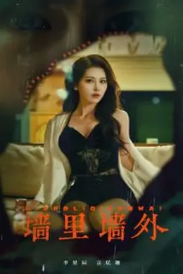 墙里墙外海报图片