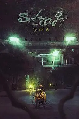 迷途之人封面图