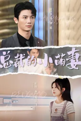 总裁的小萌妻海报图片