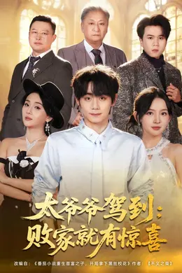 太爷爷驾到，败家就有惊喜海报图片