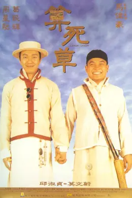 算死草国语封面图