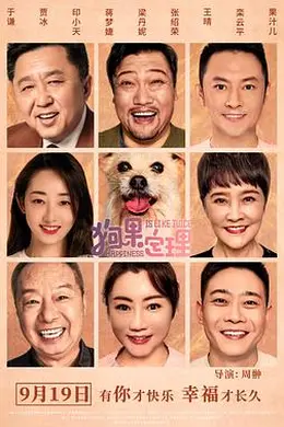 狗果定理封面图