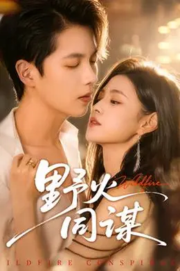 野火同谋海报图片