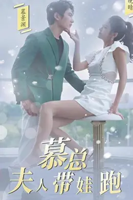慕总，夫人她带娃跑了海报图片