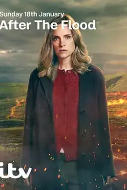 洪水之后 第二季封面图