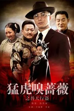 猛虎嗅蔷薇之替天行盗封面图