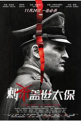 刺杀盖世太保封面图