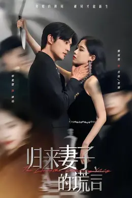 归来妻子的谎言封面图