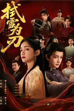 拭雪为刃海报图片
