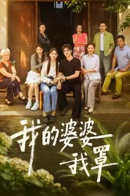 我的婆婆我罩封面图