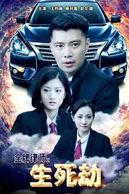 金牌律师之生死劫封面图