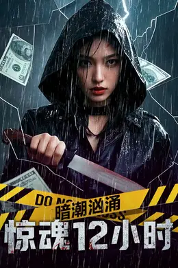暗潮汹涌之惊魂12小时封面图