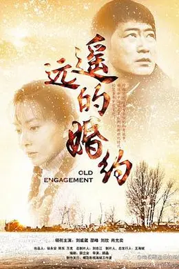 遥远的婚约封面图