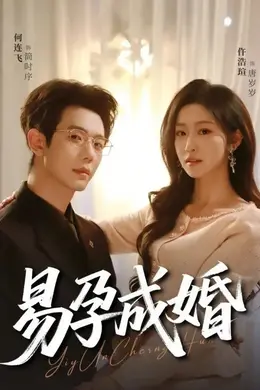 易孕成婚海报图片