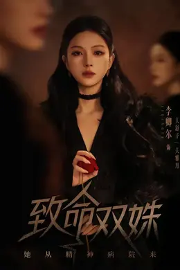致命双姝：她从精神病院来海报图片