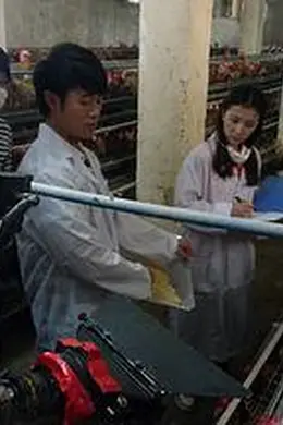 我和教授“羊粪豆”封面图