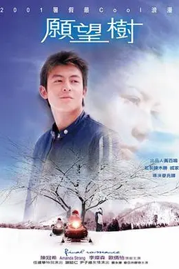 愿望树粤语封面图