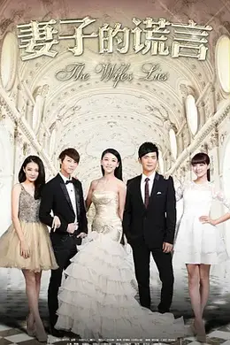 妻子的谎言封面图