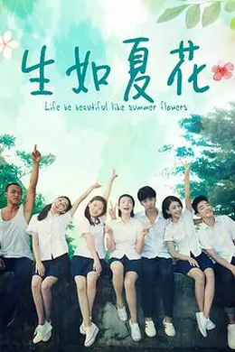 生如夏花封面图