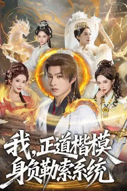 我，正道楷模身负勒索系统海报图片