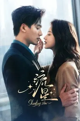 流星2026海报图片