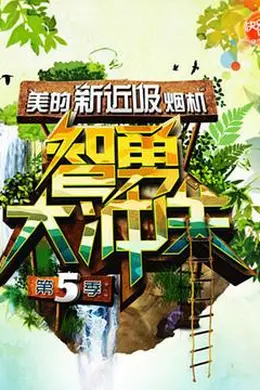 智勇大冲关第五季封面图