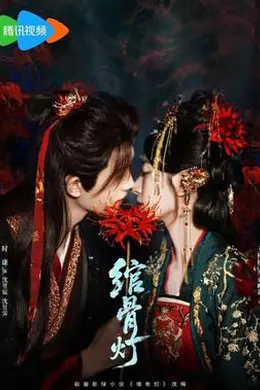 绾骨灯封面图
