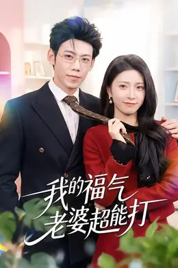 我的福气老婆超能打海报图片