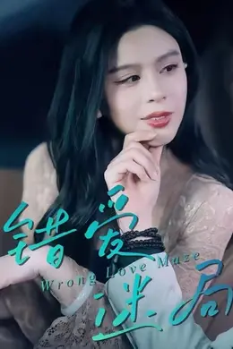 错爱迷局海报图片