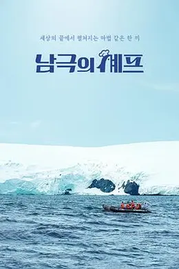 南极厨师封面图