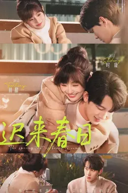 迟来春日封面图