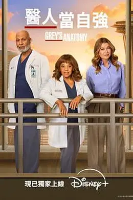 实习医生格蕾第二十二季封面图