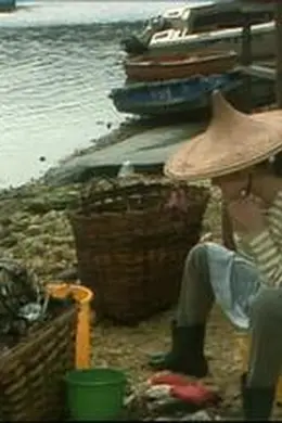 一千灵异夜之血追忆封面图