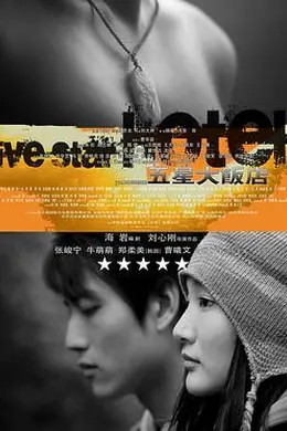 五星大饭店封面图