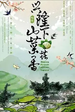 兴隆山下菜花香封面图