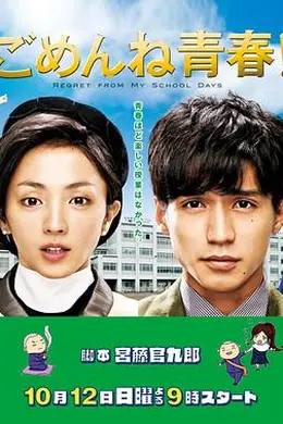 对不起青春封面图