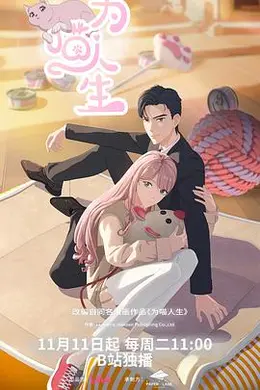 为喵人生封面图