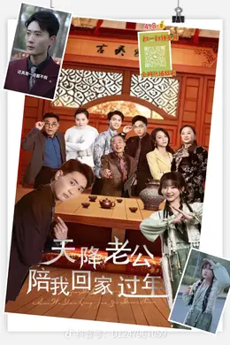 天降老公陪我回家过年海报图片