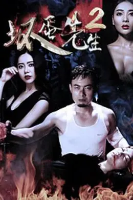 坏蛋先生2封面图