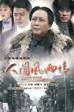 人间风雨情封面图
