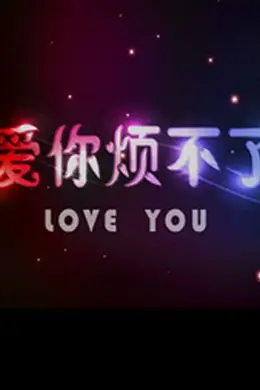 爱你烦不了封面图