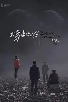 大象席地而坐封面图