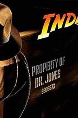 夺宝奇兵5：命运转盘封面图