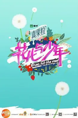 花儿与少年 第四季封面图