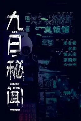 九日秘闻封面图