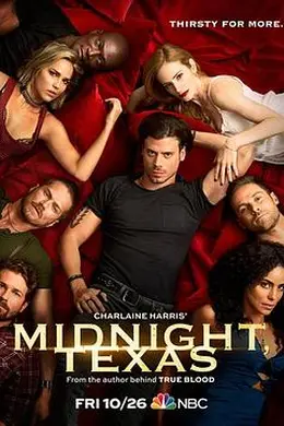 德州午夜第二季封面图
