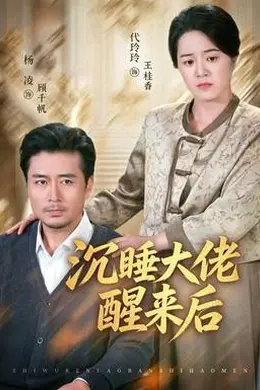 沉睡大佬醒来后海报图片