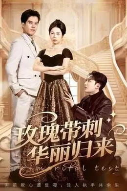 玫瑰带刺华丽归来海报图片