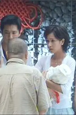 浴火凤凰封面图