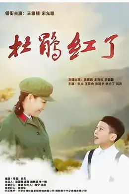 杜鹃红了海报图片